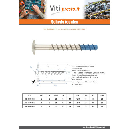 1 x Vite Per Calcestruzzo Testa Bombata Torx T30 6X50 Bimetallo