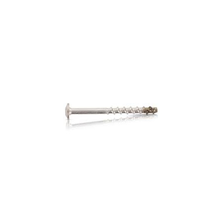 1 x Vite Per Calcestruzzo Testa Bombata T30 Acciaio Inox A4 7,5X100 Filettata Su 45