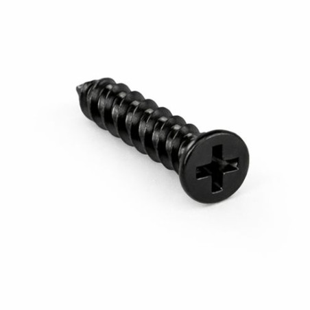 1 x Vite Autofilettante Per Plastica Testa Forata Phillips 0 2X5 Acciaio Zincato Nero microviti