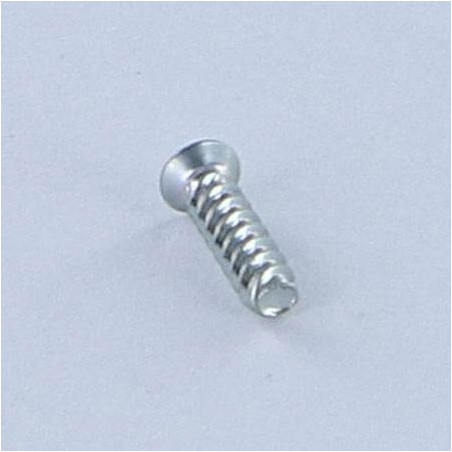 1 x Vite Autofilettante Per Plastica Testa Forata Phillips 0 1,4X6 Zincate microviti