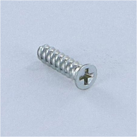 1 x Vite Autofilettante Per Plastica Testa Forata Phillips 0 1.6X4 Zincate microviti