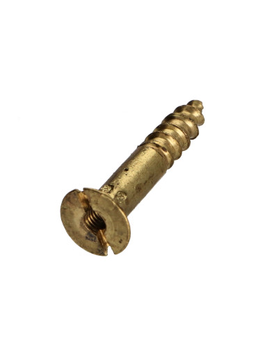 1 x Viti Per Legno Ottone 4X20 Forata E...