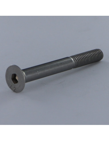 1 x Vite Per Metalli Acciaio Inox A2 Testa...