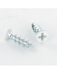Vite Per Pvc Testa Forata Bombata Phillips 4,3 x 20...