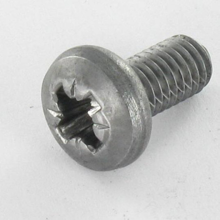 1 x Vite Per Metalli testa bombata larga Pozi PZ6 M6X12 Acciaio Grezzo