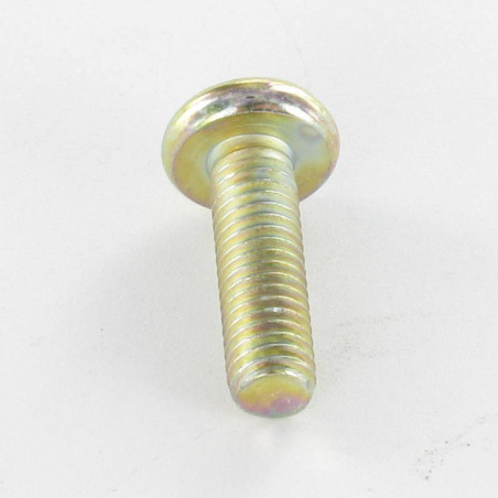 1 x Vite Per Metalli testa bombata larga Pozi PZ6 M6X20 Bicromato