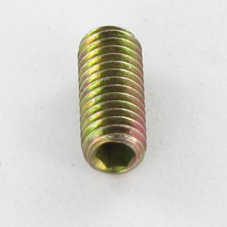 1 x Vite Per Metalli Senza Testa Con Cava Esagonale Chiave Esagonale Da 3 M6X25 Punta Conica Bicromato