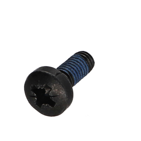 1 x Vite Per Metalli testa bombata larga Pozi PZ6 M6X16 Acciaio Zincato Nero Frenafiletti 3M2353 360°