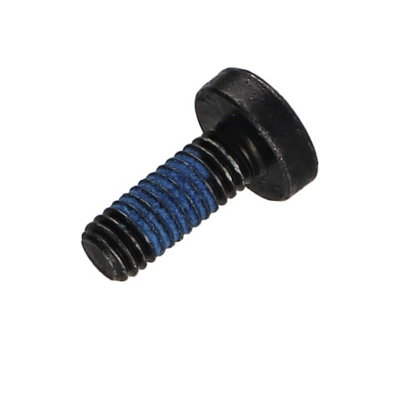 1 x Vite Per Metalli testa bombata larga Pozi PZ6 M6X16 Acciaio Zincato Nero Frenafiletti 3M2353 360°