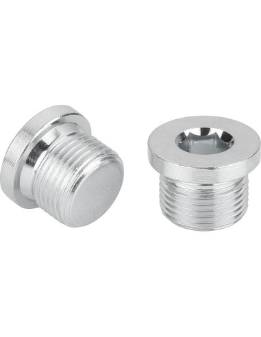 1 x Tappo Esagono Incassato Con Flangia Chiave...