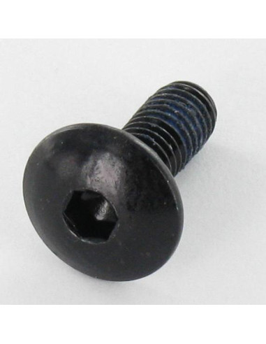 1 x Vite Testa Poelier Larga M6X16 Chiave...