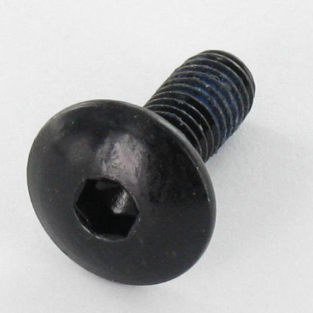 1 x Vite Testa Poelier Larga M6X16 Chiave Esagonale Da 4 Acciaio Zincato Nero Frenafiletti