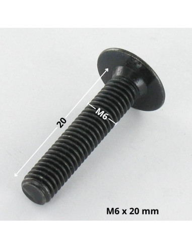 1 x Vite Testa Poelier Larga M6X20 Chiave...