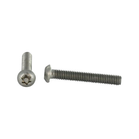 1 x Vite Per Metalli Acciaio Inox A2 Di Sicurezza Testa Bombata T40 con perno M8X65