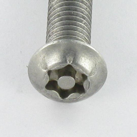 1 x Vite Per Metalli Acciaio Inox A2 Di Sicurezza Testa Bombata T40 con perno M8X65