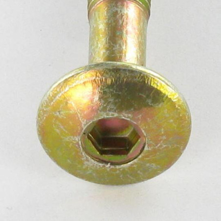1 x Vite Testa Poelier Larga Esagono Incassato M6X47 Filettata Su 32 Punta Conica Bicromato
