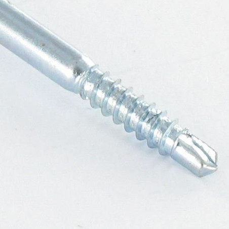 1 x Vite Autoperforante Testa Cilindrica Bombata Phillips 2,9X29 Zincate