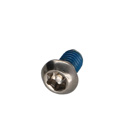 1 x Vite Per Metalli Acciaio Inox A2 Di Sicurezza Testa Bombata T30 con perno M6X10+ Frenafiletti