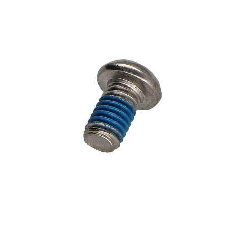1 x Vite Per Metalli Acciaio Inox A2 Di Sicurezza Testa Bombata T30 con perno M6X10+ Frenafiletti