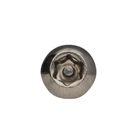 1 x Vite Per Metalli Acciaio Inox A2 Di Sicurezza Testa Bombata T30 con perno M6X10+ Frenafiletti