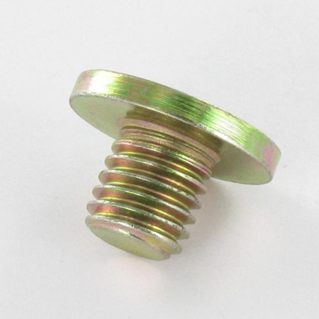 1 x Vite Per Metalli Bicromato Testa Piatta 20X13 M10X10 Chiave Esagonale Da 5 XC18