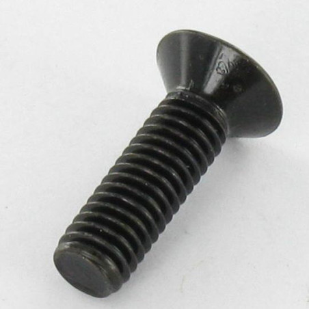 1 x Vite Per Metalli Testa Forata Pozi PZ5 M4X6 Acciaio Zincato Nero