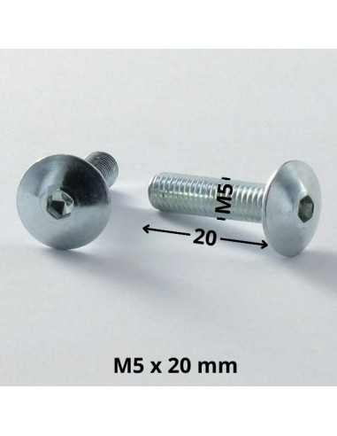 1 x Vite Testa Poelier Larga M5X20 Chiave...