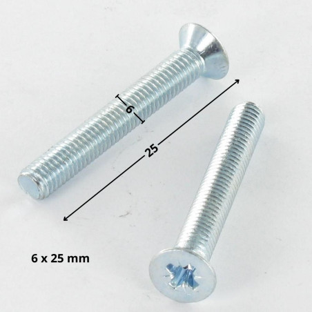 1 x Vite Per Metalli Testa Forata Pozi PZ6 M6X25 Zincate