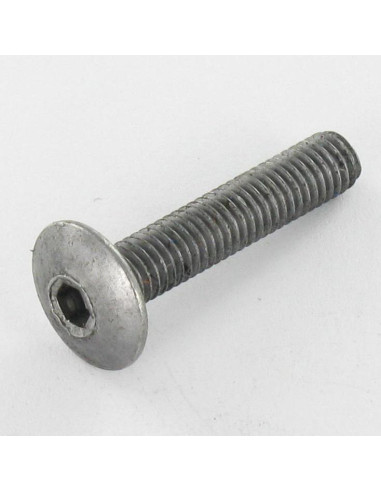 1 x Vite Testa Poelier Larga M6X75 Chiave...
