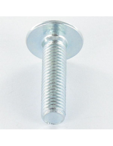 1 x Vite Testa Poelier Larga M6X65 Chiave...