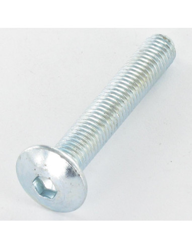 1 x Vite Testa Poelier Larga M8X55 Chiave...