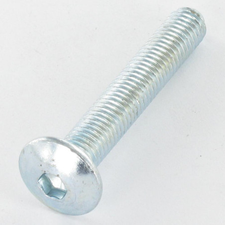 1 x Vite Testa Poelier Larga M8X55 Chiave Esagonale Da 5 Zincate Punta Pilota