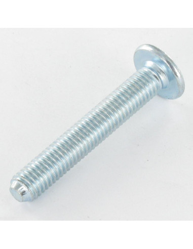 1 x Vite Testa Poelier Larga M8X55 Chiave...