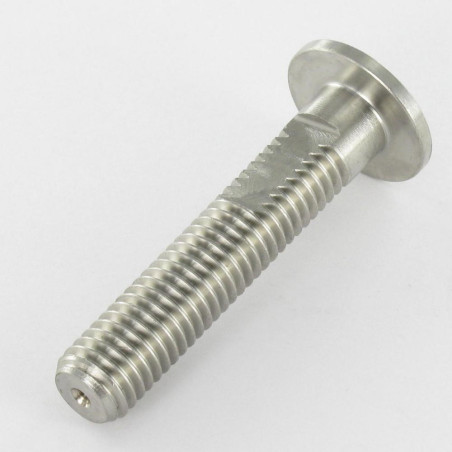 1 x Vite Per Metalli Testa Piatta A/FAT 20X50 Filettata Su 43 M10 Acciaio Inox
