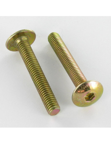 1 x Vite Testa Poelier Larga M6X75 Chiave...