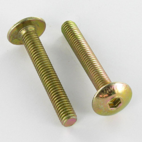 1 x Vite Testa Poelier Larga M6X75 Chiave Esagonale Da 4 Bicromato