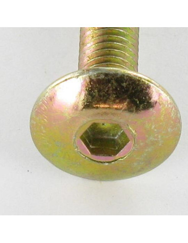 1 x Vite Testa Poelier Larga M6X75 Chiave...