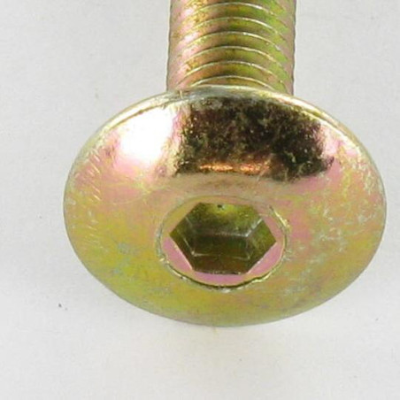 1 x Vite Testa Poelier Larga M6X75 Chiave Esagonale Da 4 Bicromato