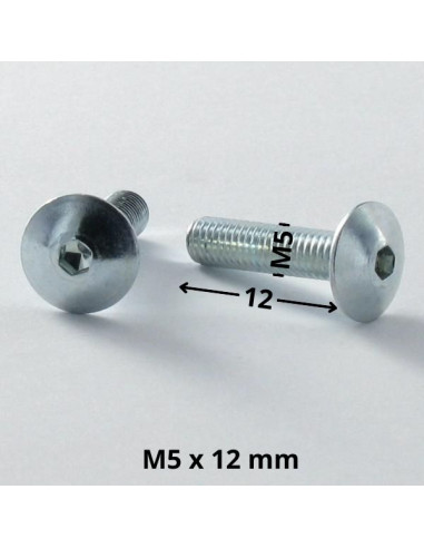 1 x Vite Testa Poelier Larga M5X12 Chiave...