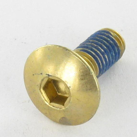 1 x Vite Testa Poelier Larga M6X12 Chiave Esagonale Da 4 Zincate Frenafiletti