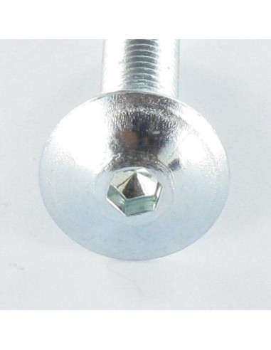 1 x Vite Testa Poelier Larga M8X25 Chiave...