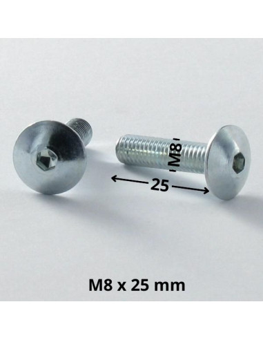 1 x Vite Testa Poelier Larga M8X25 Chiave...