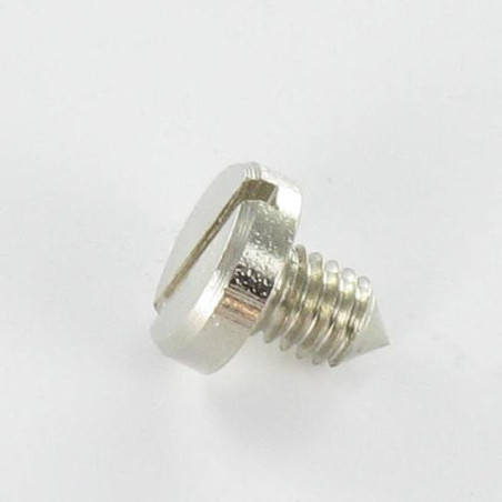 1 x Vite Per Metalli Acciaio Nichel Testa Cilindrica Larga Con Intaglio 8X8.3 Punta Conica