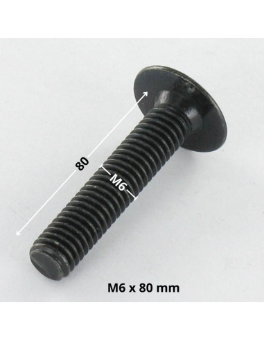 1 x Vite Testa Poelier Larga M6X80 Chiave...