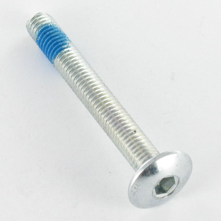 1 x Vite Testa Poelier Larga M6X40 Chiave Esagonale Da 4 Zincate Frenafiletti