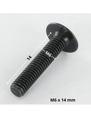 1 x Vite Testa Poelier Larga M6X14 Chiave...