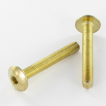 1 x Vite Testa Poelier Larga M6X55 Chiave Esagonale Da 4 Acciaio Ottonato