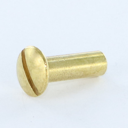 1 x Dado Manicotto Testa Bombata Con Intaglio M4X12 5X16 Ottone
