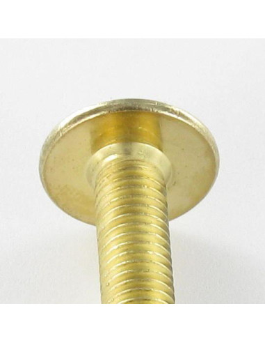1 x Vite Testa Poelier Larga M6X55 Chiave...