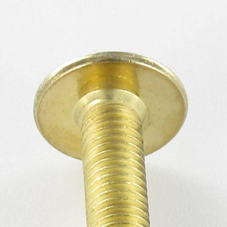 1 x Vite Testa Poelier Larga M6X55 Chiave Esagonale Da 4 Acciaio Ottonato